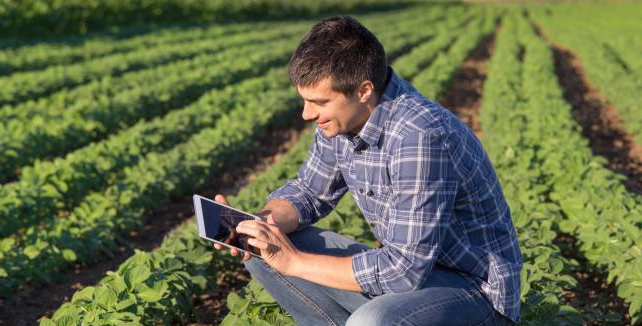 Cuánto gana un ingeniero agrónomo en Bolivia