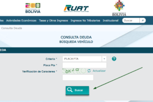 Consulta de deudas de vehículo en el RUAT (Guía actualizada paso a paso)